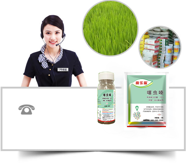 自主研發(fā)設(shè)計(jì)